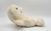 Ty Beanie Classic Misty the Seal Plush