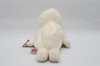 Ty Beanie Buddies Seal the Seal Plush 2001