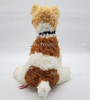 Ty Beanie Buddies Corkie the Wire Fox Terrier Plush 2006