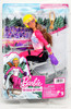Para Alpine Brunette Skier Barbie Careers Doll & Accessories 2021 Mattel HCN33