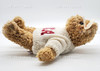 Ty Beanie Classics Baby Curly the Bear with USA Sweater Plush