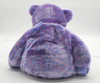 Ty Beanie Buddy Clubby IV the Bear Plush 2001