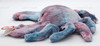 Ty Beanie Buddy Digger the Crab Plush Tie Dye Version 2000