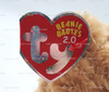 Ty Beanie Baby Scholars the Bear Holding Diploma Plush 2009 Version