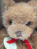 Gund Brown Collectors Bear 1989 Teddy Bear Plush With Red Bow Tie 9 In. Gold Tag