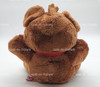 Ty Beanie Buddy Pooky the Bear Garfield Plush 2005
