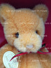 Gund Collector's Bear 1991 Golden Honey Bear 9 Inch Teddy Bear Plush Gold Tag