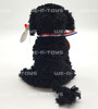 Ty Beanie Baby Bo the Portuguese Water Dog Plush 2008