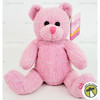 Barbie Mini Pink Bear Plush 6 Inches Tall 2001 Galerie Au Chocolate 22355