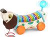 LeapFrog Wooden AlphaPup Pull-Along Alphabet Dog