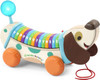 LeapFrog Wooden AlphaPup Pull-Along Alphabet Dog