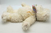 Boyds Bears Vanessa V. Fluffypaws White Stuffed Cat Plush 53110-01 JB Bean