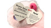 Ty Beanie Babies Petal the Capybara Pink Plush Small