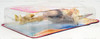 Winx Club Stella Fairy Doll 2025 Playmates 57813