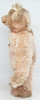 Steiff Teddy Rose 1925 Replica Teddy Bear 0171/41