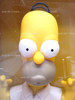 The Simpsons Homer Simpson Bobble'n Head Action Figure #142101 Playmates 2002
