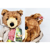 Steiff Bjorn Grizzlybear Teddies for Tomorrow Plush Bear 00618