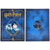 Harry Potter and the Sorcerer's Stone Year 1 Ultimate Edition DVD Set