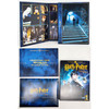 Harry Potter and the Sorcerer's Stone Year 1 Ultimate Edition DVD Set
