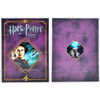 Harry Potter and The Goblet of Fire Year 4 Ultimate Edition DVD Set 07483