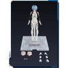 Blokees Evangelion Fantastics Series 01 Rei Ayanami Plug Suit Model Kit