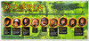 The Lord of the Rings Action Figure Deluxe Gift Pack 2002 Toy Biz 81099