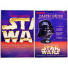 Star Wars Authentic Miniature Helmets Darth Vader 1997 Riddell 70201