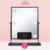 Danielle Creations Bluetooth L.E.D. Lighted Vanity Mirror, Black