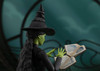 Wicked Elphaba S.H.Figuarts Action Figure
