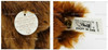 Steiff Circus Bear with Snap-Back Joints 1935 Brown 32 Replica 1994 USED