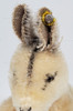 Steiff Linda Kangaroo with Joey in Pouch Plush