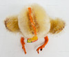 Steiff Baby Chick Mohair 1950's Plush