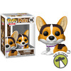 Funko Pop Pets Corgi Vinyl Figure #16