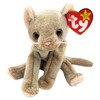 Ty Beanie Babies Scat the Cat Plush 1999
