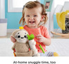 Fisher-Price Baby Slow Much Fun Stroller Sloth for Newborns Ages 0+ Months
