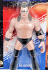 Official Wrestling's Heels and Faces The Gladiator Action Figure 70491