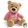 Gund Get Well Soon Teddy Bear in T-Shirt