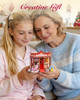 Rolife Whimsy Toy Shop DIY Miniature House DS044