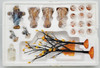 Department 56 Halloween Accessories Village Collection 22 Piece Set 52704