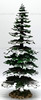Department 56 Village Pequot Pine (X-Large) 52819