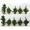 Department 56 Mixed Lot of 16 Trees Village Accessories