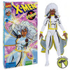 Marvel Legends X-Men Animated Series VHS Box Storm Action Figure Hasbro F5433
