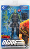 G.I. Joe Classified Series 10 Wayne Beach Head Sneddon Cobra Island Figure F0149