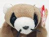 Ty Beanie Babies Ringo Raccoon NEW with Tag