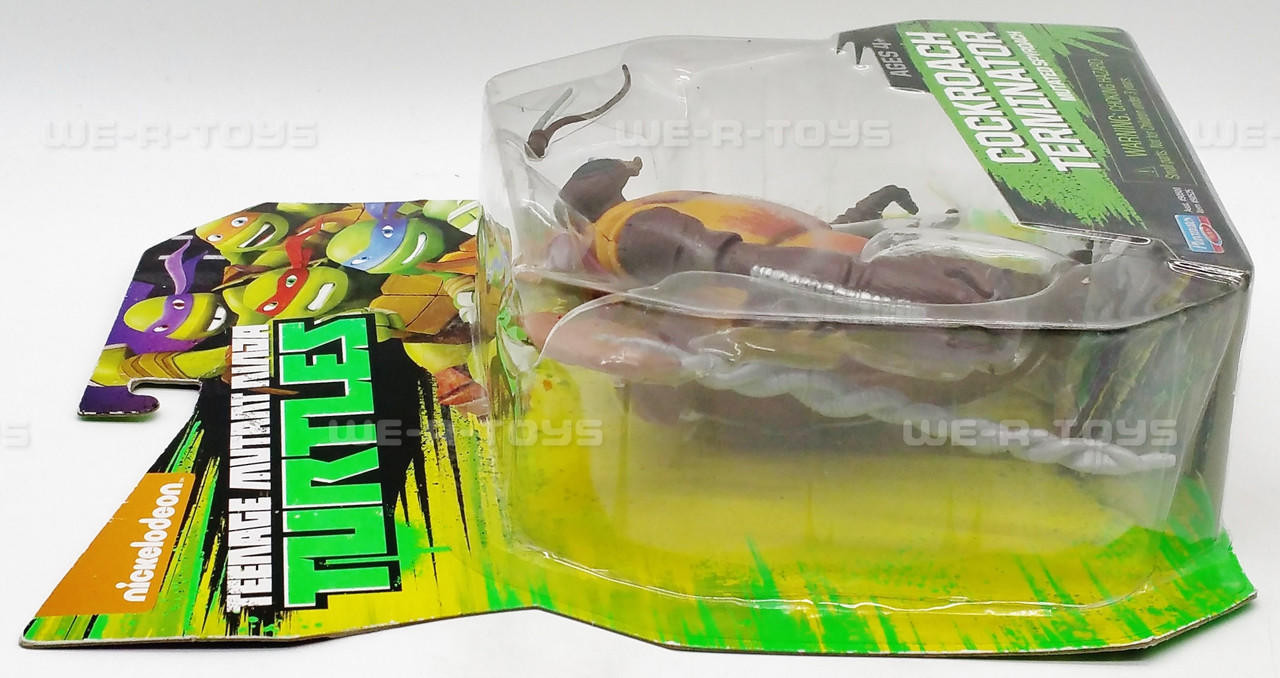 Turtle Cockroach Tmnt Cockroach Terminator