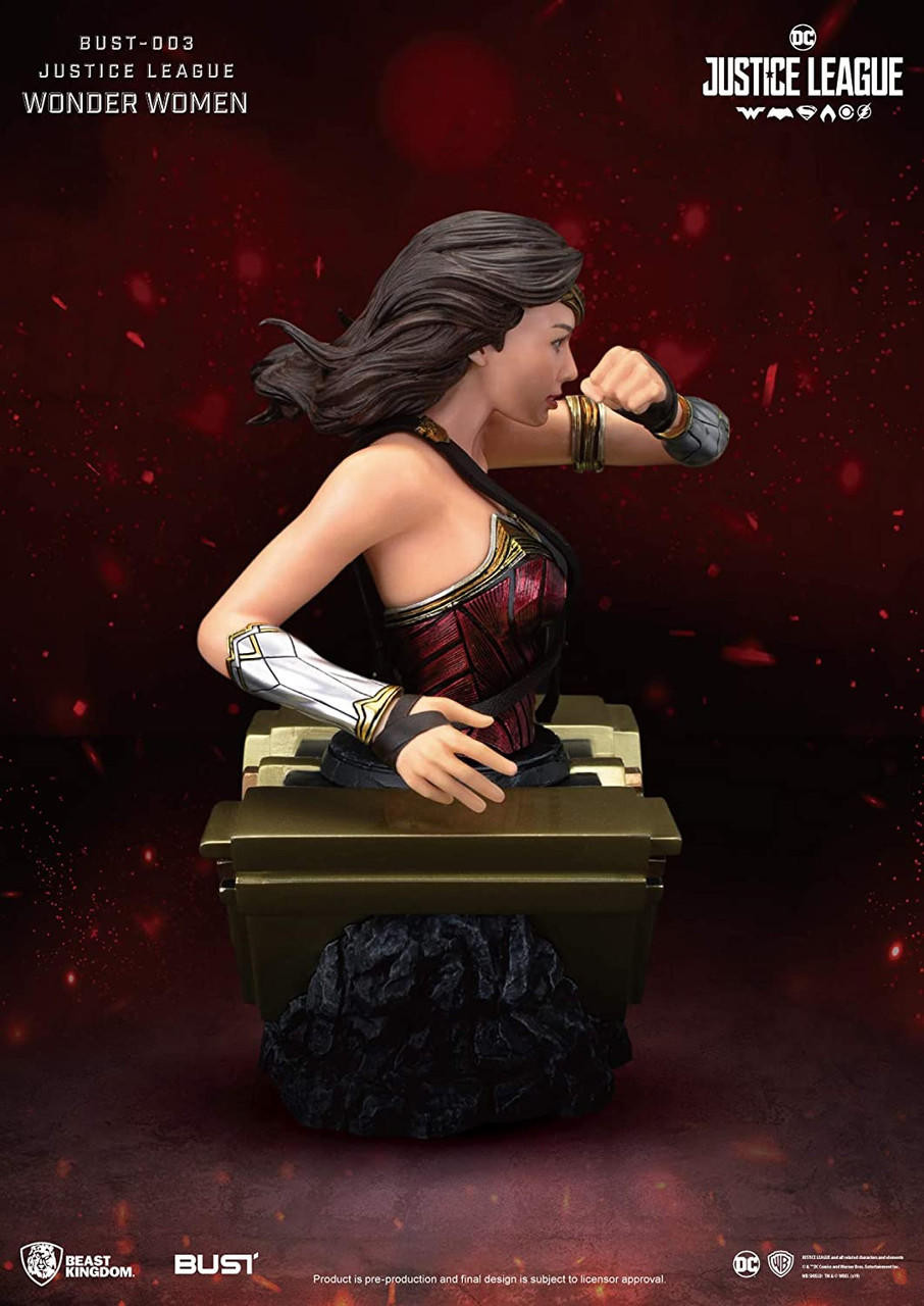 DC Justice League Wonder Woman 6