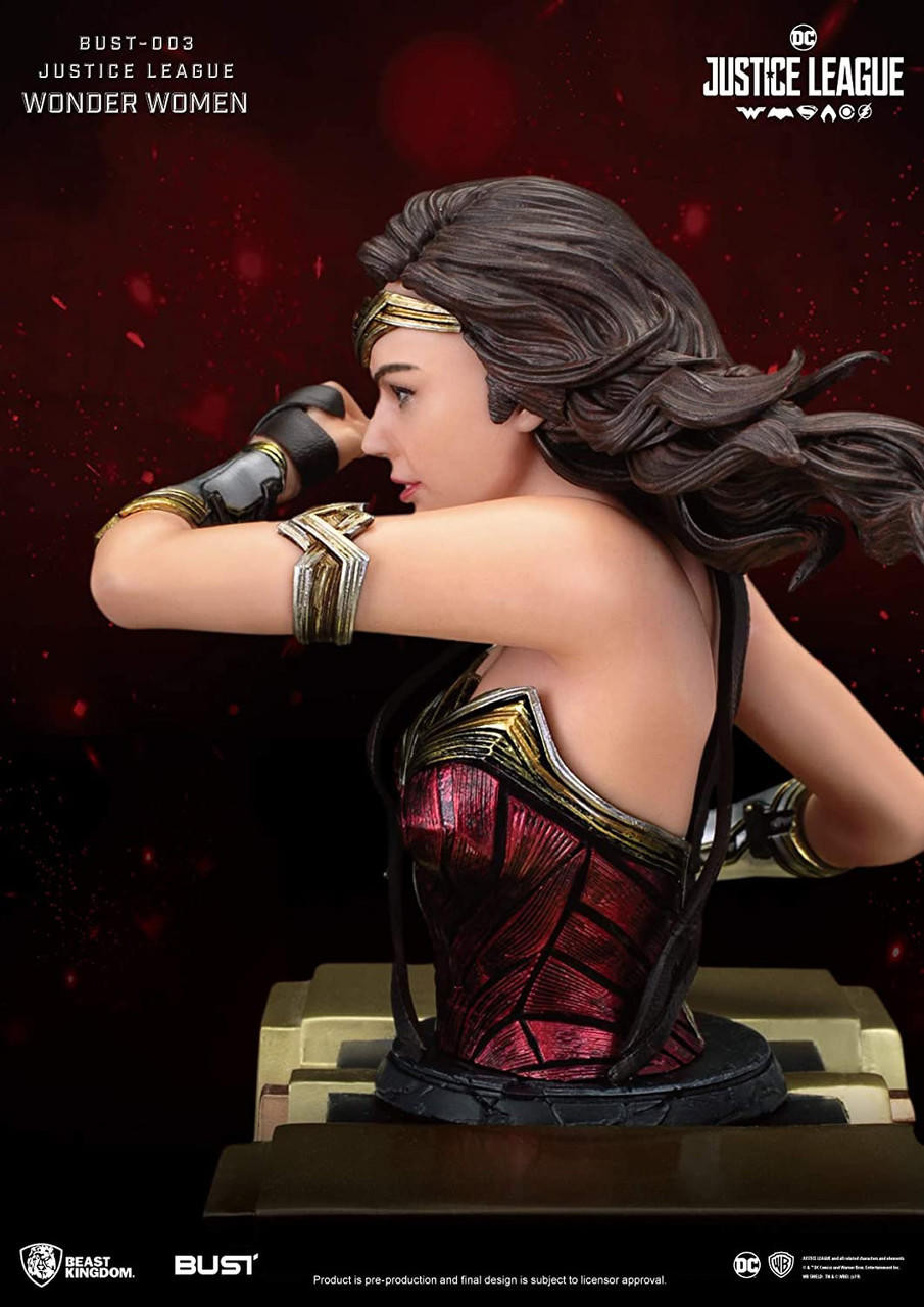 DC Justice League Wonder Woman 6