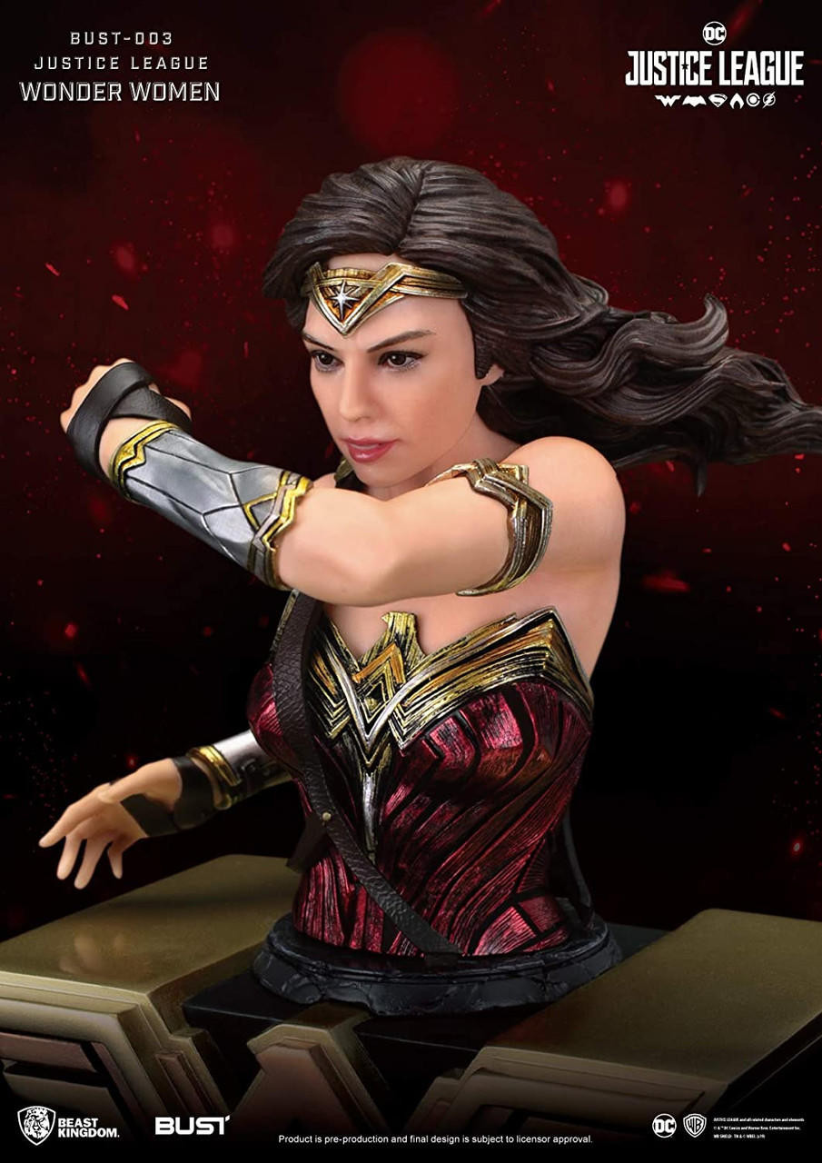 DC Justice League Wonder Woman 6