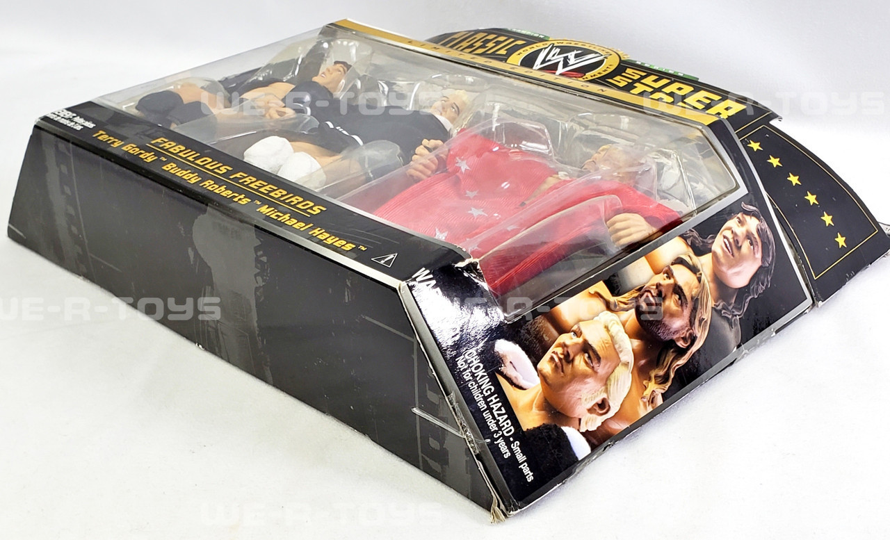 WWE Classic Super Stars Champion Series 2006 Fabulous