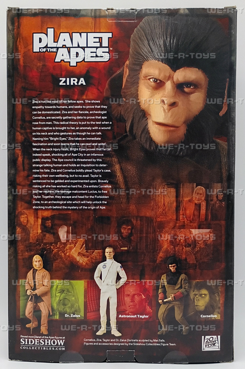 SIDESHOW 猿の惑星　12インチ　 ジーラ（ZIRA） Amazon.co.jp: Planet of the Apes Zira/猿の惑星 ジーラ : Toys